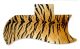 Tiger Print