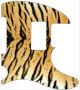Tiger Print