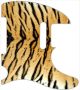 Tiger Print