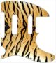 Tiger Print