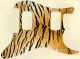 Tiger Print