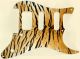 Tiger Print