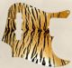 Tiger Print