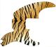 Tiger Print