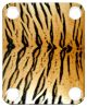 Tiger Print