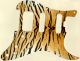 Tiger Print - HSS Shawbucker Elite Strat
