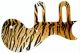 Tiger Print
