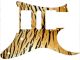 Tiger Print