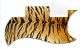 Tiger Print