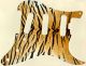 Tiger Print - SSS Elite Strat