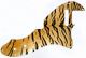 Tiger Print