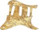 Tomb Texture - Vintera '60s Strat