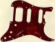 Tortoise Brown - HSS Shawbucker Elite Strat