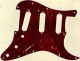 Tortoise Brown - Vintera '70s Strat