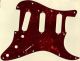 Tortoise Brown - Vintera '60s Strat