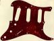 Tortoise Brown - Vintera '50s Strat