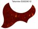 Takamine EG523SC-12 Acoustic Pickguard