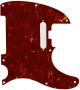 Tortoise Red - American Elite Tele