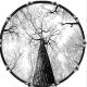 Tree 3