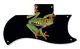 Tree Frog