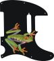 Tree Frog - Vintera '60s Tele