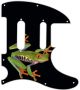 Tree Frog