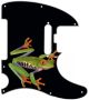 Tree Frog - American Elite Tele