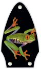 Tree Frog
