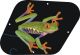 Tree Frog