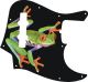 Tree Frog