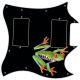 Tree Frog