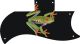 Tree Frog