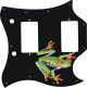 Tree Frog