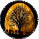 Tree Moon