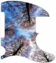Tree Tops 1 - Tele Esquire