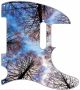 Tree Tops 1 - Vintera '60s Tele