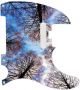 Tree Tops 1 - American Elite Tele