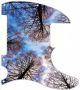 Tree Tops 1 - Avril Lavigne Tele