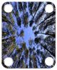 Trees 1
