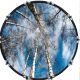 Trees 2