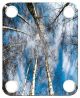 Trees 2