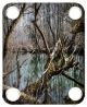 True Forest 1