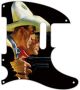 Two Hired Guns