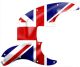 UK Patriot