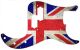 UK Patriot Worn