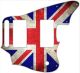 UK Patriot Worn
