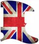 UK Patriot Worn - Avril Lavigne Tele
