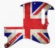 UK Patriot Worn
