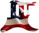 US Patriot