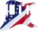 US Patriot 2